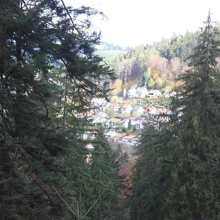 Relaxapartments Black Forest Diamond Direkt An Der Hornberger Freilichtbuehne - Sonnenterrasse Mit Blick Auf Das Hornberger Schloss, Schnelles Internet, Fuer Bis Zu 2 Personen 外观 照片