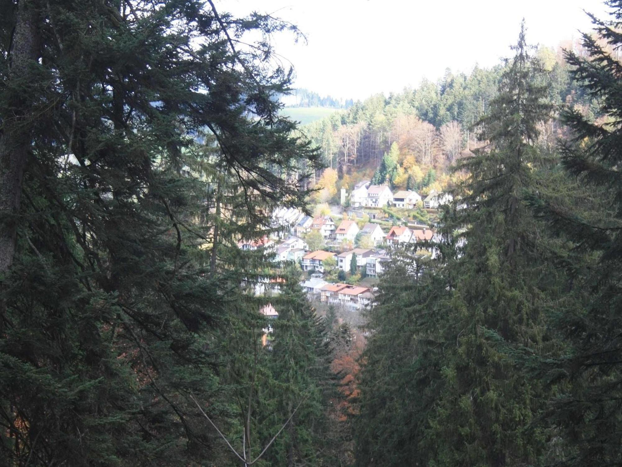 Relaxapartments Black Forest Diamond Direkt An Der Hornberger Freilichtbuehne - Sonnenterrasse Mit Blick Auf Das Hornberger Schloss, Schnelles Internet, Fuer Bis Zu 2 Personen 外观 照片