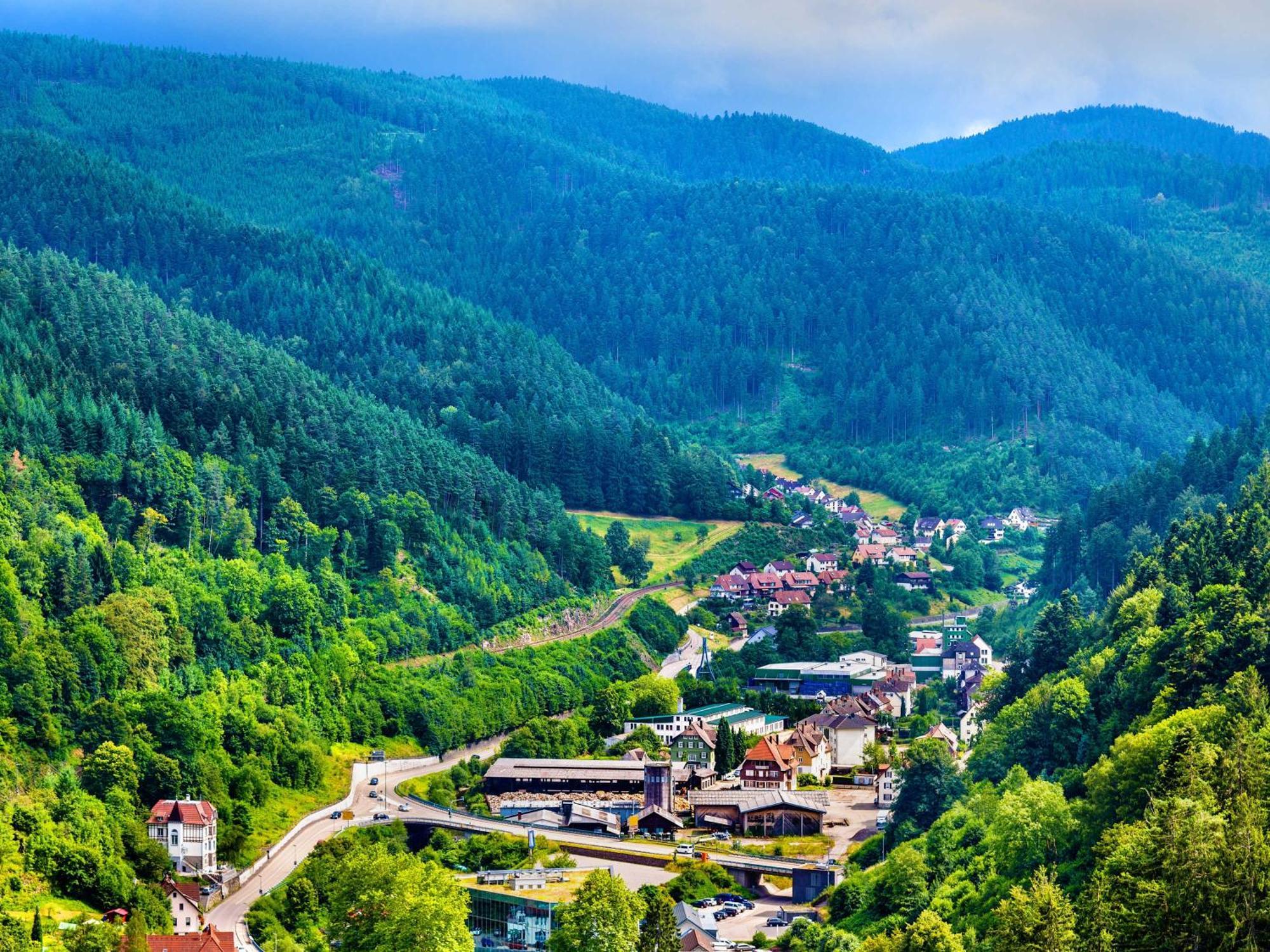 Relaxapartments Black Forest Diamond Direkt An Der Hornberger Freilichtbuehne - Sonnenterrasse Mit Blick Auf Das Hornberger Schloss, Schnelles Internet, Fuer Bis Zu 2 Personen 外观 照片
