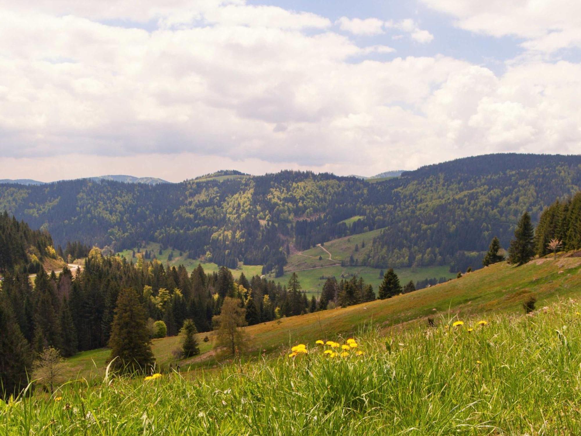 Relaxapartments Black Forest Diamond Direkt An Der Hornberger Freilichtbuehne - Sonnenterrasse Mit Blick Auf Das Hornberger Schloss, Schnelles Internet, Fuer Bis Zu 2 Personen 外观 照片